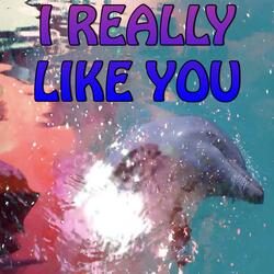I Really Like You - Tribute to Carly Rae Jepsen (Instrumental Version)