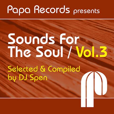 Papa Records Presents Sounds for the Soul, Vol. 3