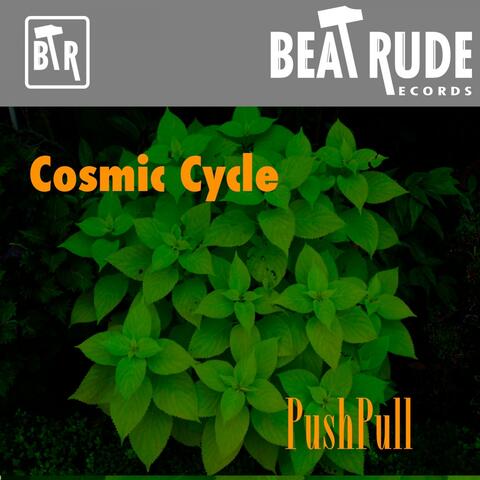 Cosmic Cycle