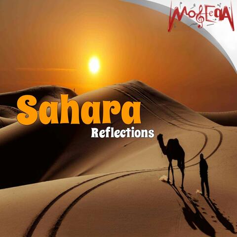 Sahara Reflections