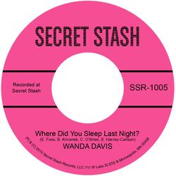 Where Did You Sleep Last Night (Instrumental)