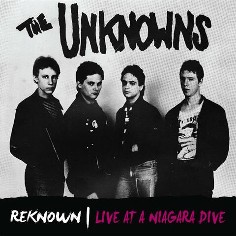 Reknown: Live in a Niagara Dive