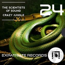 Crazy Jungle