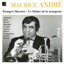 Trumpet Concerto in E Major, S. 49: I. Allegro con spirito