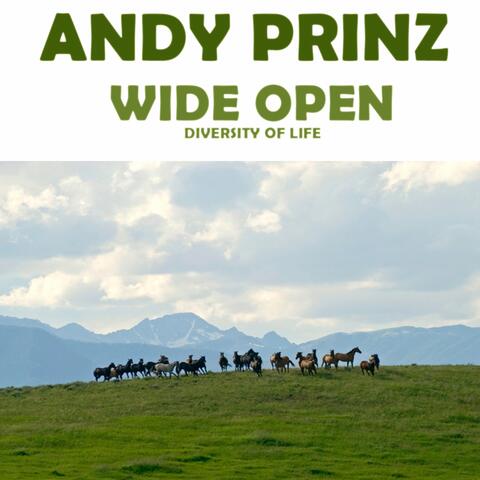 Wide Open