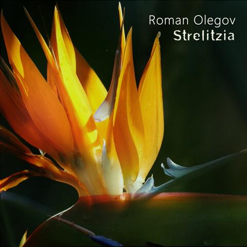 Strelitzia