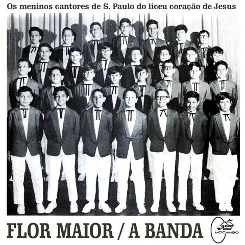 Flor Maior / A Banda