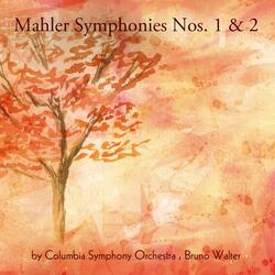 Symphony No. 2 in C Minor "Resurrection": II. Andante moderato