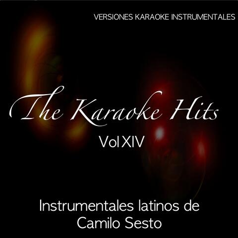 The Karaoke Hits, Vol. 14: Hits Latinos (Originally Performed By Camilo Sesto)