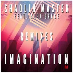 Imagination
