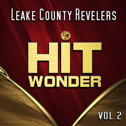 Hit Wonder: Leake County Revelers, Vol. 2