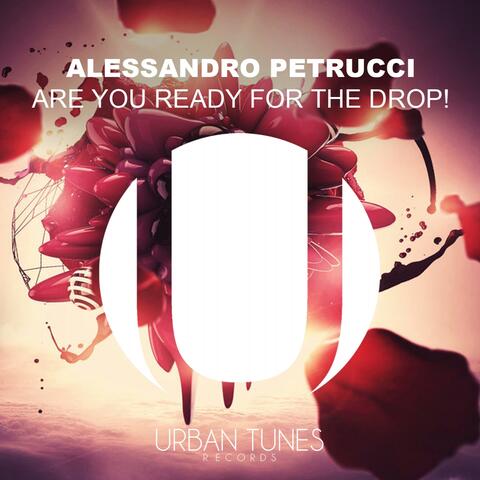 Are You Ready for the Drop!
