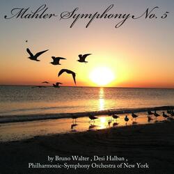 Symphony No. 5 in C-Sharp Minor: I. Trauermarsch