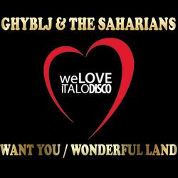 Wonderful Land