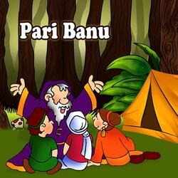 Pari Banu