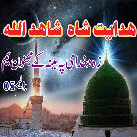 Ze Da Khudai Pa Meena K Majnoon Yema, Vol. 5