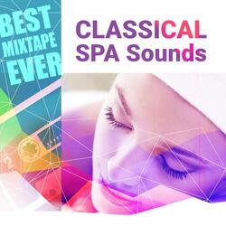 Serenade for Strings in E Major, Op. 22 : IV. Larghetto