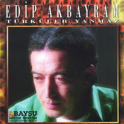 Kuşlar