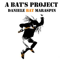 A Bat's Project