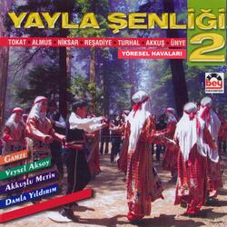 Şu Akkuş'un Gürgenleri