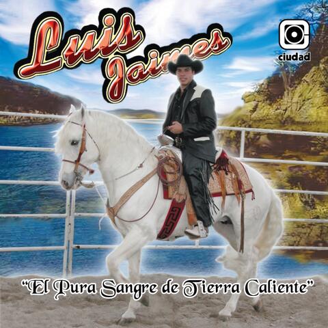 El Pura Sangre de Tierra Caliente