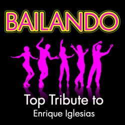 Bailando (Karaoke Version)