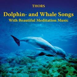 Songs of the Humpback Whales
