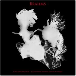 Waltzes, Op. 39: No. 4 in E Minor, Poco sostenuto