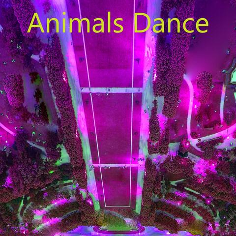 Animals Dance