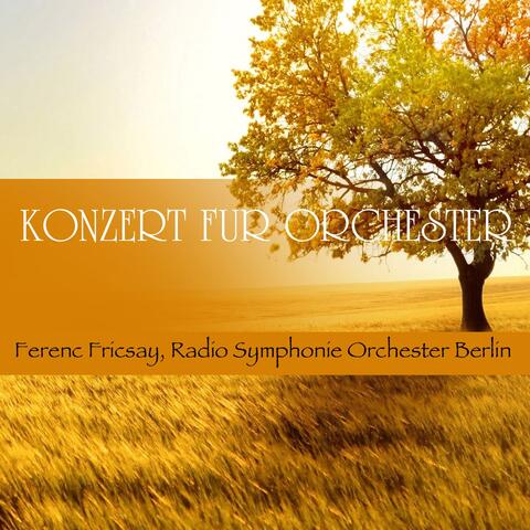 Konzert für Orchester
