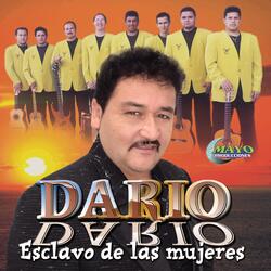 Muñeco de Vitrina