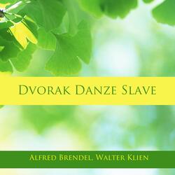 Slavonic Dances, Op. 46, B. 78: No. 2 in E Minor, Dumka. Allegretto scherzando - Allegro vivo