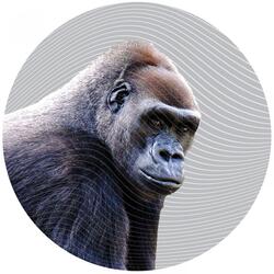 Eno