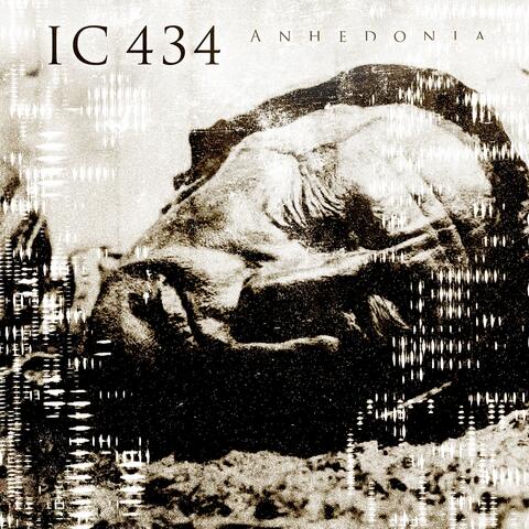 IC 434
