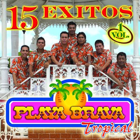 15 Exitos,  Vol. 1