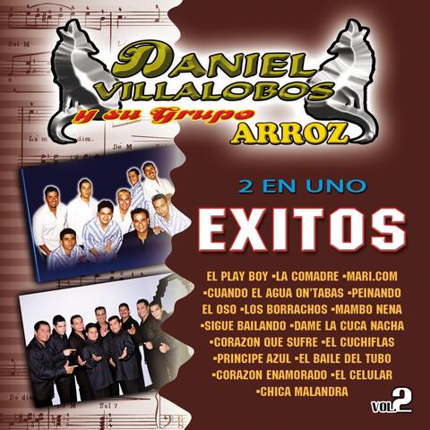 2 en Uno: Exitos de Daniel Villalobos, Vol. 2