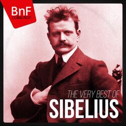 Symphony No. 2 in D Major, Op. 43: II. Tempo andante, ma rubato