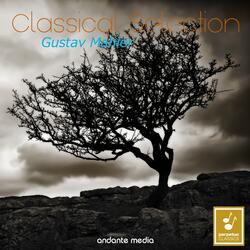 Symphony No. 5: V. Rondo-Finale
