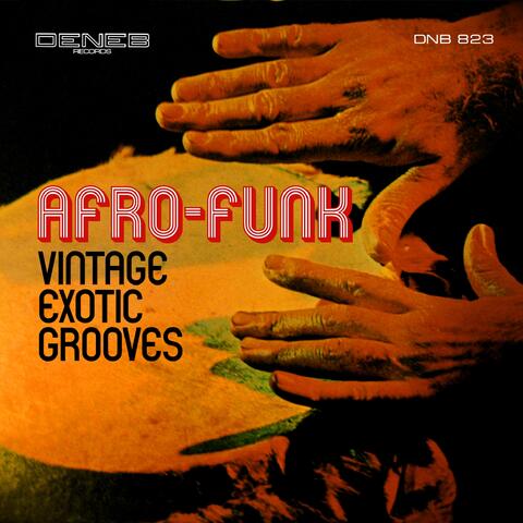 Vintage Exotic Grooves