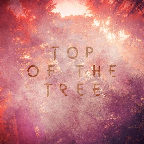 Top of the Tree