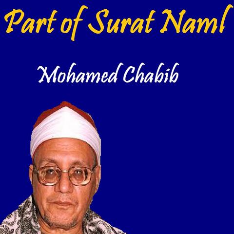 Part of Surat Naml