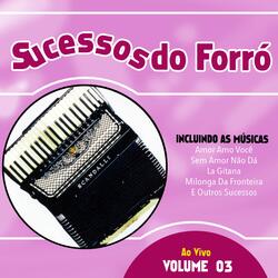 Só Seu Amor Não Vai Embora