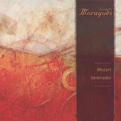 Serenade No. 12 in C Minor, K. 388: IV. Allegro