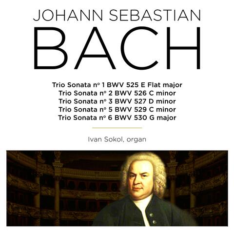 Bach: Trio Sonata, BWV 525 - 530