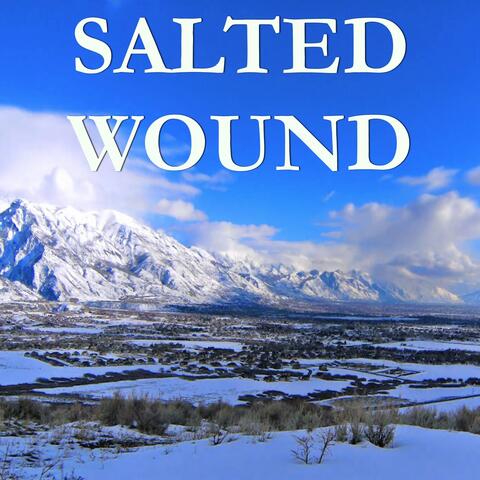 Salted Wound - Tribute to Sia