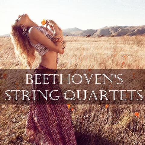 Beethoven's String Quartets