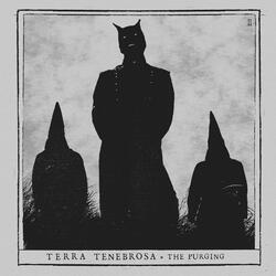 The Redeeming Teratoma
