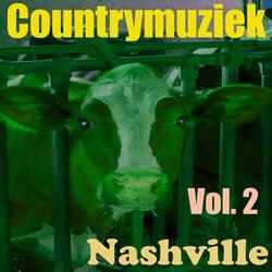Countrymuziek, Vol. 2
