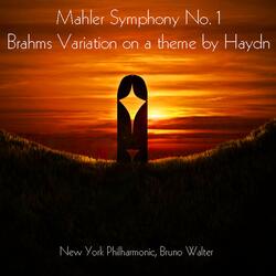 Symphony No. 1 in D Major "Titan": IV. Stürmisch bewegt
