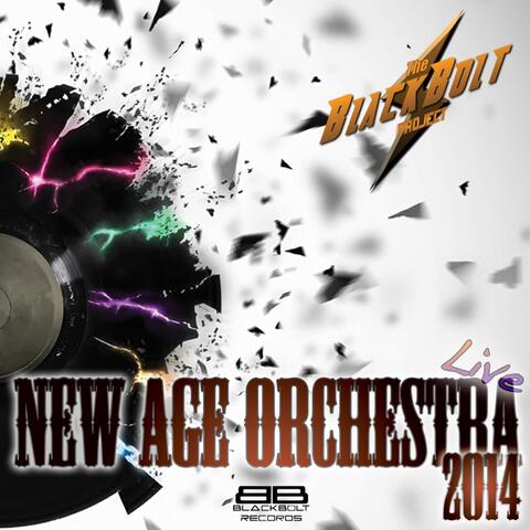New Age Orchestra 2014 Live